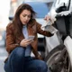 Car Accident FAQs